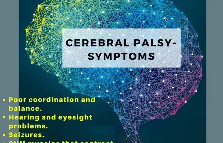 CEREBRAL